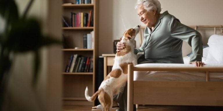 Elderly Woman Smiling While Petting Dog Indoors At Memory Care Facility